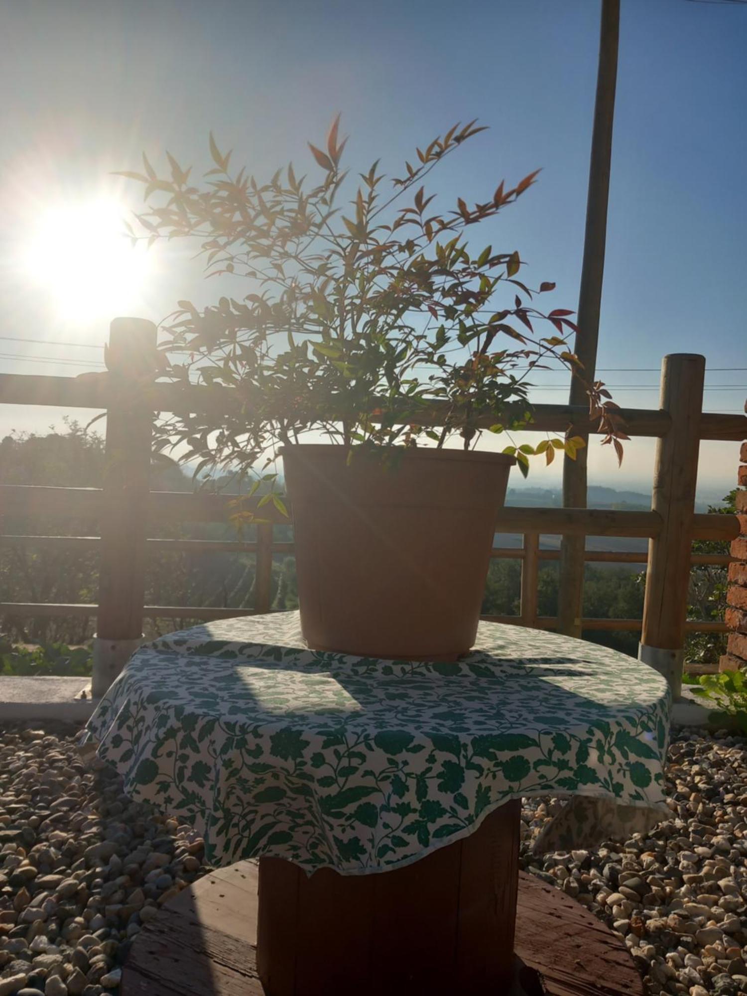 Bed and Breakfast Il Cortile Di Greta à Lu (Piedmont) Extérieur photo